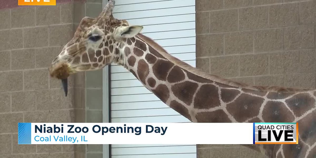 Niabi Zoo Kicks Off 2026 Season with Ostrich Egg Hunt and Exciting New Additions