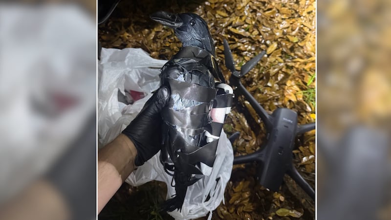 The women allegedly used a drone to fly in plastic crow decoys filled with the contraband.