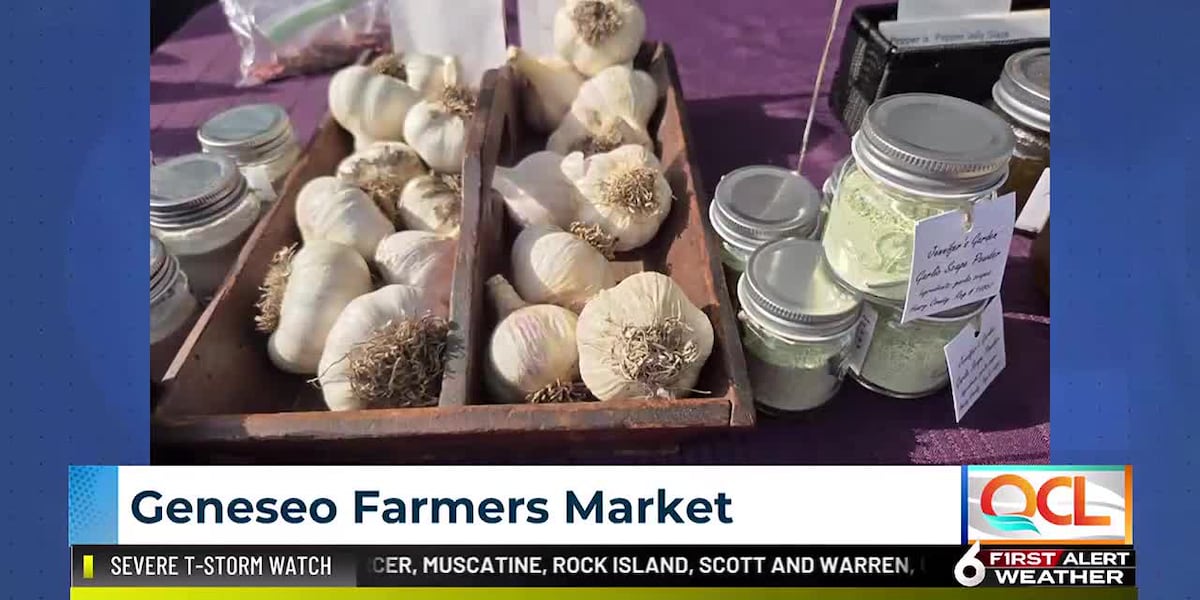 Geneseo Farmers Market celebrates local flavor