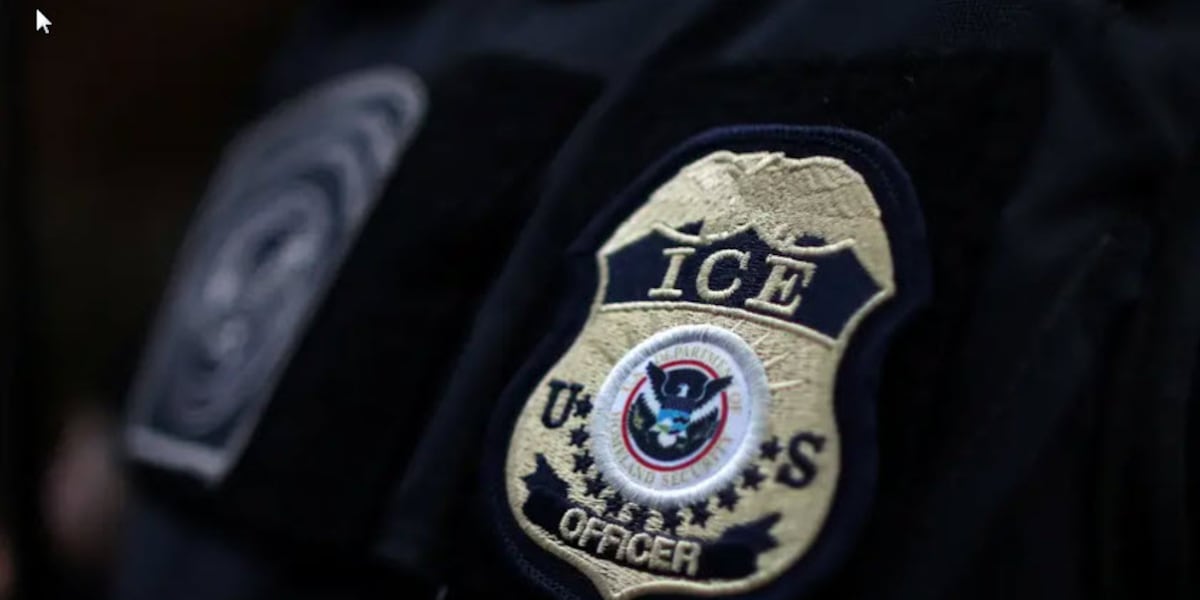 Ice Imm Know your immigration rights: ICE preparation and response