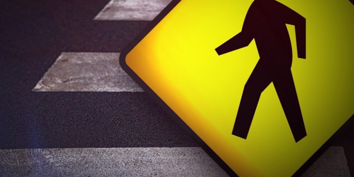 Moline Dispatch 24-year-old dead after being struck by vehicle in East Moline