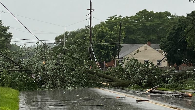 A large tree has fallen across the roadway on Rockingham Road and Minnie Avenue in Davenport.