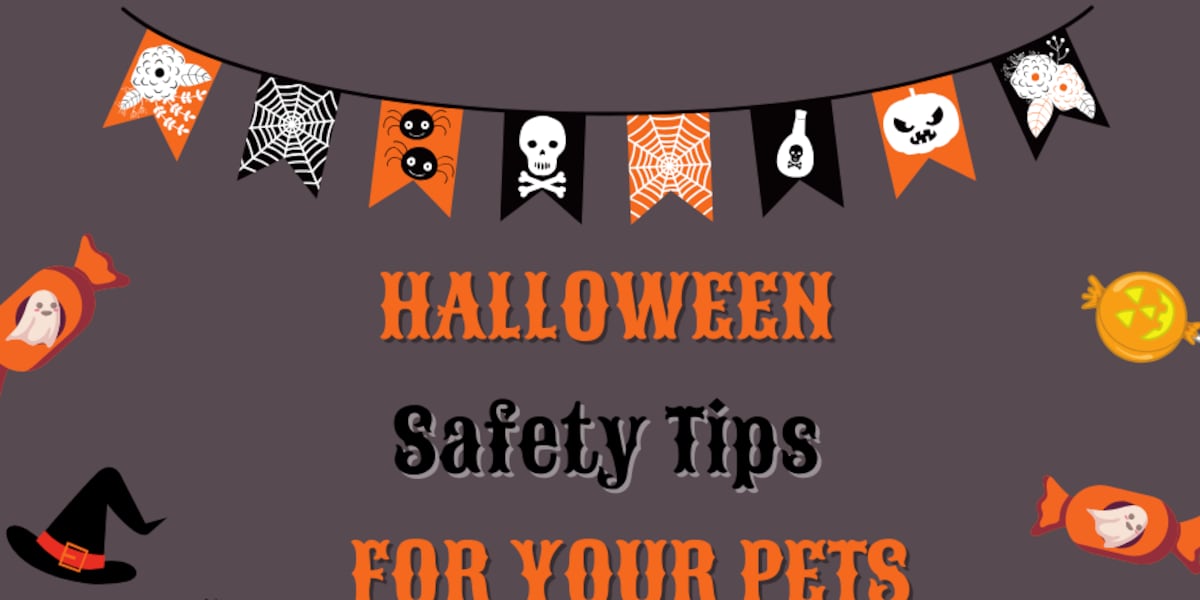 Halloween safety tips for pet parents from QC Animal Welfare Center - KWQC