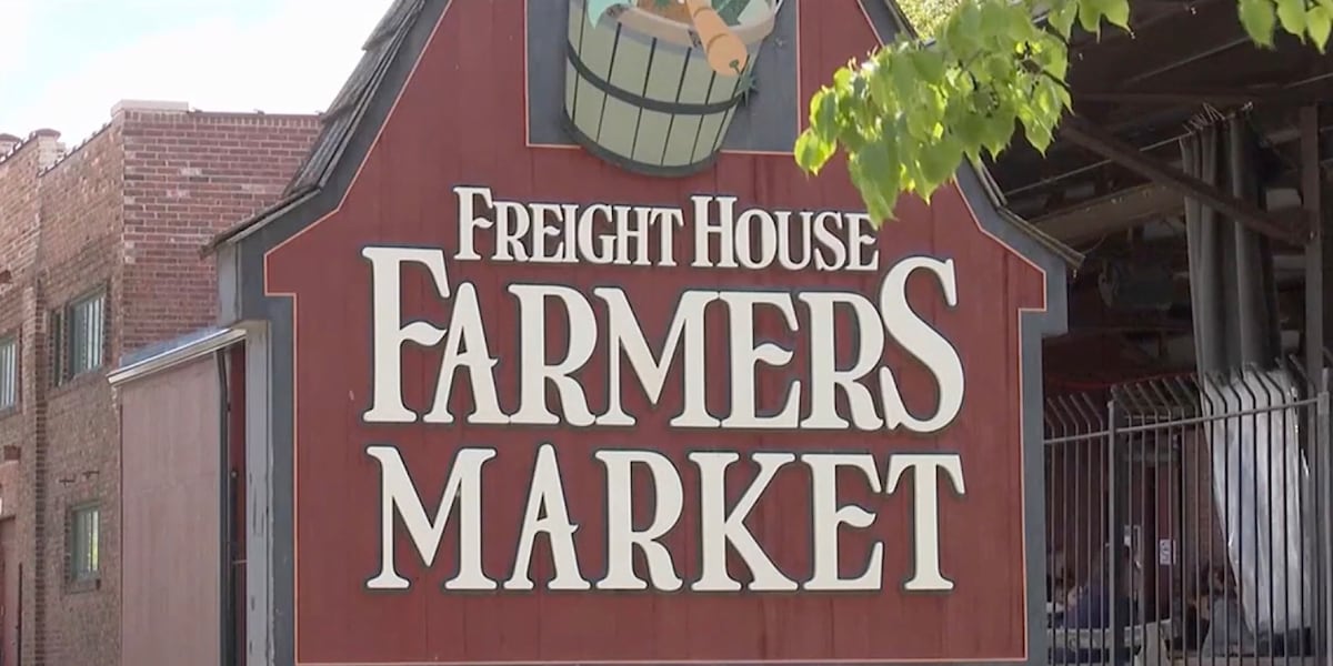 Back to School Kids Market to feature 14 small businesses