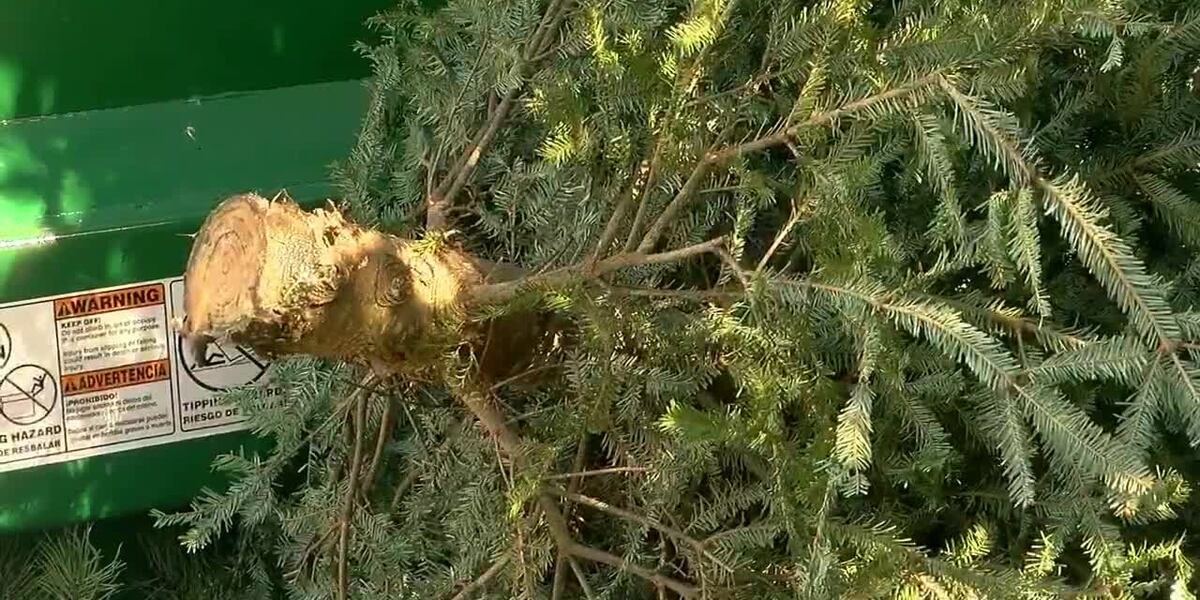 Rock Island Public Works releases holiday refuse, tree pickup schedule