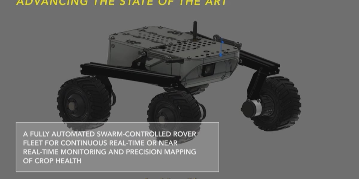 University of Illinois researchers develop AI-powered robots to detect crop problems
