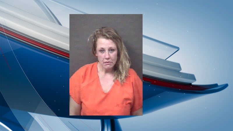 Taylor Rix Blue Ridge Taylor Ridge woman charged with trying to disarm deputy