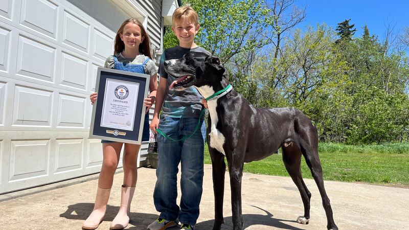 Kevin was verified at 3’2” as the world’s tallest on March 20. (Copyright: Guinness World...
