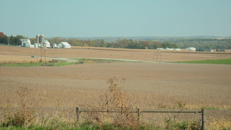 “One gut punch after another” - Turek questions farm relief as Hinson campaign defends her record