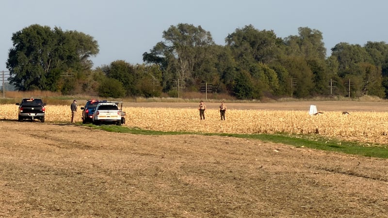 Plane crashes in rural Geneseo
