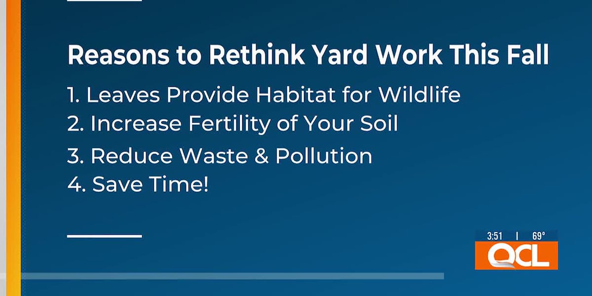 Wait, don’t rake! Here’s why you should ‘leave the leaves’ this fall