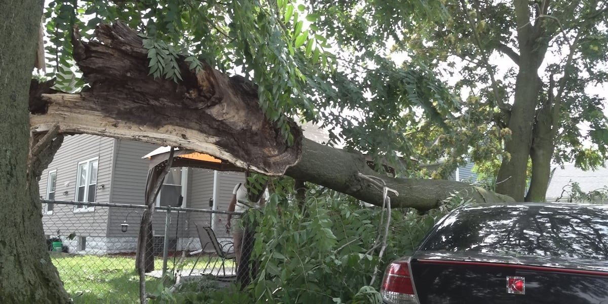 Rock Island woman hit by tree damage for 3rd time