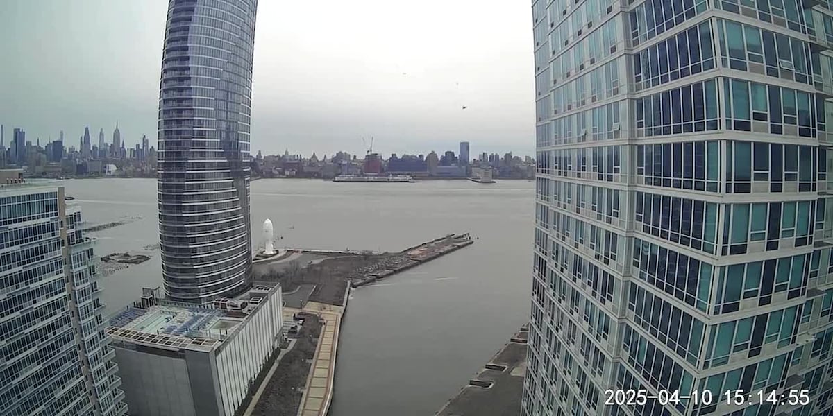 Tourist helicopter hit birds before crashing