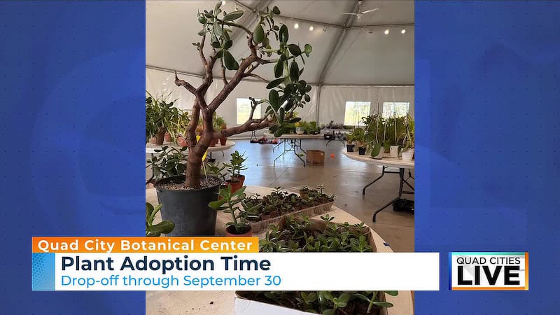 Need to rehome a plant? Quad City Botanical Center is taking donations now